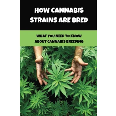 Abbildung von How Cannabis Strains Are Bred: What You Need To Know About Breeding: Collecting And Harvesting Seeds