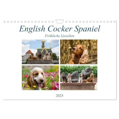 Abbildung von English Cocker Spaniel Fröhliche Gesellen (Wandkalender 2025 DIN A4 quer), CALVENDO Monatskalender: Immer lächelnde