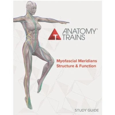 Abbildung von Anatomy Trains Myofascial Meridians Structure &amp; Function Study Guide