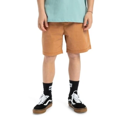 Abbildung von Quiksilver Taxer Shorts Kind