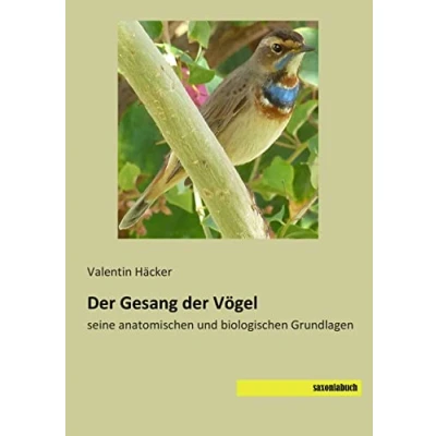 Abbildung von der Gesang Voegel: seine anatomischen und biologischen Grundlagen