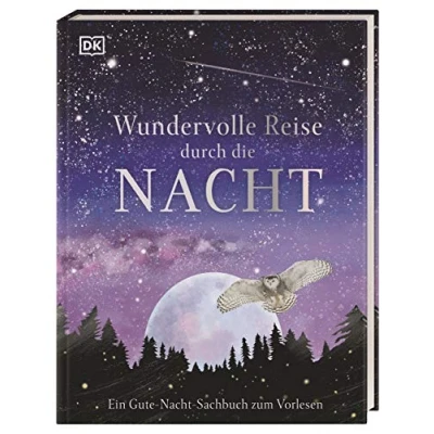 Abbildung von Wundervolle Reise durch die Nacht: Ein Gute Nacht Sachbuch zum Vorlesen. Cover mit Silberfolie für Kinder ab 4 Jahren