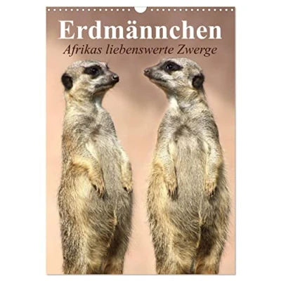 Abbildung von Erdmännchen Afrikas liebenswerte Zwerge (Wandkalender 2025 DIN A3 hoch), CALVENDO Monatskalender
