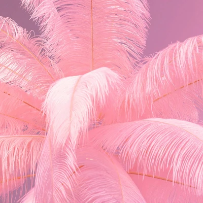 Abbildung von Kare Design Stehleuchte Feather Palm, Pink, 165cm, Federn, Stehlampe für Wohnzimmer, Bodenlampe, Dekoleuchte, Leuchtmittel nicht inklusiv
