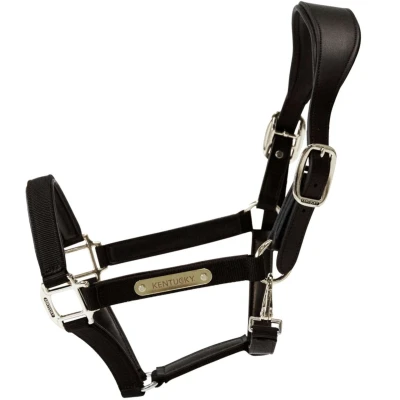 Abbildung von Kentucky Halfter Anatomic Nylon Schwarz Vollblut