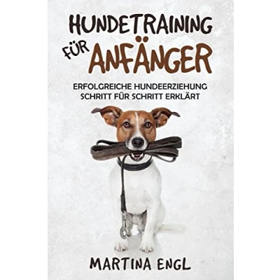 Abbildung von Hundetraining für Anfänger: Erfolgreiche Hundeerziehung Schritt erklärt eine harmonische Beziehung zwischen Mensch und Vierbeiner