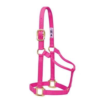 Abbildung von Weaver Leather Original Pferdehalfter, Nylon, Nicht verstellbar, klein, Pink (Diva Pink)