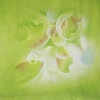 Abbildung von Walimex Pro Motiv Stoffhintergrund (3x6 m) Fresh
