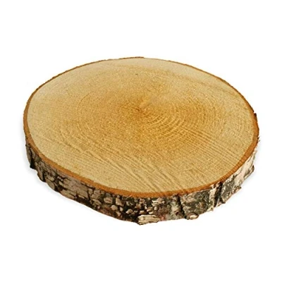 Abbildung von Große Holzscheibe zum Basteln oder Dekorieren 1 Stück naturbelassene Baumscheibe aus Birkenholz mit 20 25 cm Durchmesser runde Holz Birkenscheibe als Deko Holzplatte Holzdeko