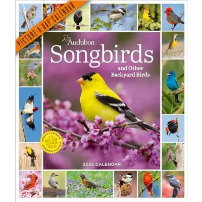 Abbildung von Audubon Songbirds and Other Backyard Birds Picture A Day® Wall Calendar 2025