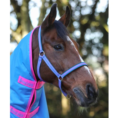 Abbildung von Bucas Halfter Dublin Denim XWarmblut