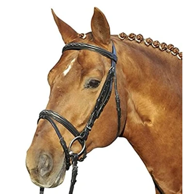 Abbildung von HKM Reittrense Jana Braun Warmblut