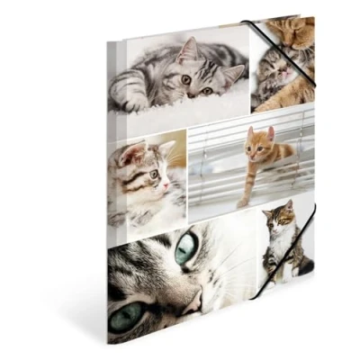Abbildung von HERMA 19212 Sammelmappe A4 Tiere Katzen, Kinder Eckspanner Mappe aus Pappe mit Innendruck &amp; Gummizug, stabile Einschlagmappe Karton für Jungen Mädchen