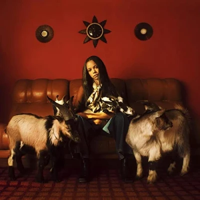 Abbildung von Capricorn Sun (Ltd Red 2lp+Mp3) [Vinyl LP]