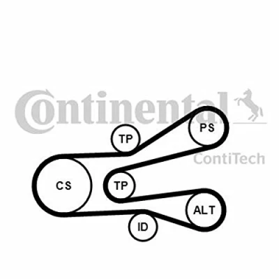 Abbildung von CONTITECH 6PK1440K1 Keilrippenriemensatz CITROËN: Berlingo / First I, I Kastenwagen, Xsara Kombi