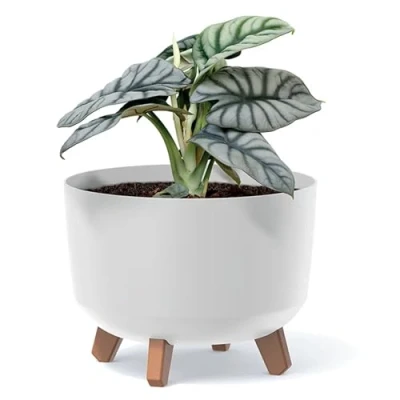Abbildung von Prosperplast Blumentopf, Blumentopf mit abnehmbaren Beinen Garcia