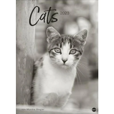 Abbildung von Monika Wegler: Cats Edition 2023. Elegante Samtpfoten in schwarz weiß einem XXL Kalender. Tierkalender 2023 im Großformat. Hochwertiger großer Fotokalender für Katzenfans.