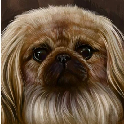 Abbildung von DIY 5D Diamond Painting Kits Pekingese Hund Vollbohrkristall Strass Stickerei Bilder Kunst für Zuhause Wanddekoration