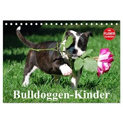 Abbildung von Bulldoggen Kinder (Tischkalender 2025 DIN A5 quer), CALVENDO Monatskalender