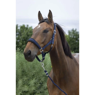 Abbildung von Norton Halfterset Large Navy Warmblut