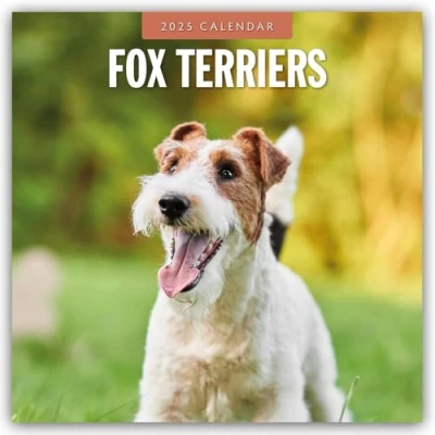 Abbildung von Fox Terriers Foxterrier 2025 16 Monatskalender: Original Red Robin Publishing Ltd Kalender [Mehrsprachig] [Kalender]