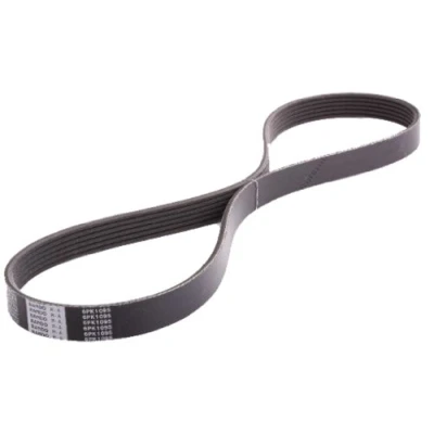 Abbildung von JAPANPARTS DV 6PK1095 Keilrippenriemen 1095mm 6 NISSAN: Maxima IV QX Limousine