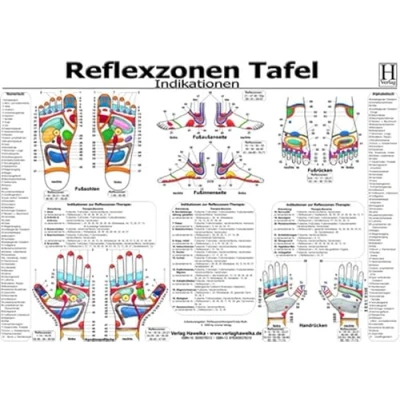 Abbildung von Reflexzonen Tafel Indikationen A3 (laminiert)