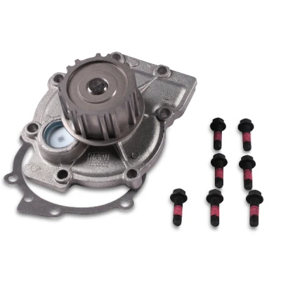 Abbildung von HEPU P060 Wasserpumpe 14 mit Dichtung Schrauben mechanisch 62 63 VOLVO: 960 II Kombi, V90 I S90