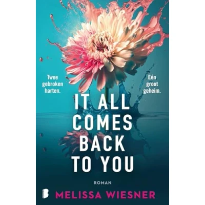 Abbildung von It all comes back to you: Twee gebroken harten. Eén groot geheim.