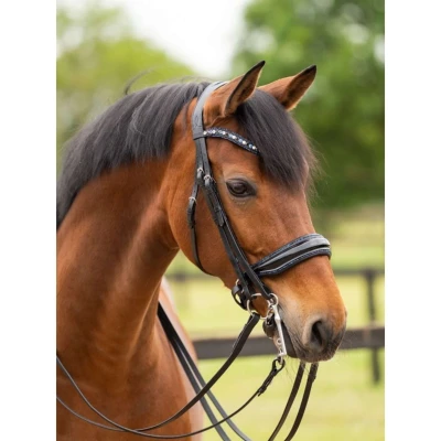 Abbildung von HB Showtime Zaum All You Needed Schwarz/Navy Funkeln Warmblut Agradi.deVerkauft von Agradi