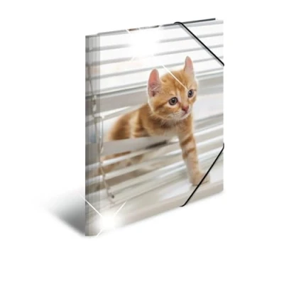 Abbildung von HERMA 19337 Sammelmappen A3 Tiere Katzen, 3 Stück, Kinder Eckspanner Mappen aus Kunststoff mit Hochglanz Optik, Innendruck &amp; Gummizug, stabiles Einschlagmappen Set Plastik für Jungen Mädchen