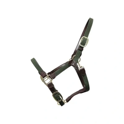 Abbildung von Kentucky Geflochtenes Nylon Halfter Full Olivgrün Leder