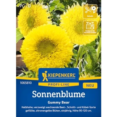 Abbildung von Kiepenkerl Profi Line Sonnenblumensamen Gummy Bear 1065810 Zitronengelbe Blütenpracht für Garten &amp; Kübel Wildblumensamen, Blumenwiese, Saatgut