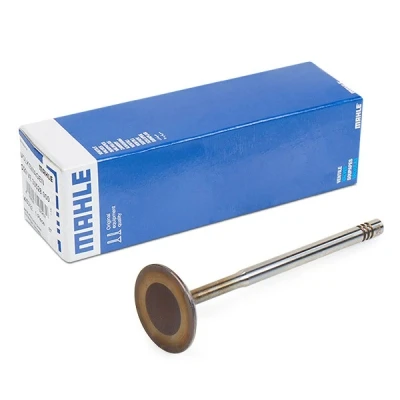 Abbildung von MAHLE ORIGINAL 029 VE 30528 000 Einlaßventil 29,5 Einlassseite VOLKSWAGEN: Golf 5 Schrägheck, Caddy 3 Kombi, Lupo / 3L, SKODA: Octavia 2 Combi
