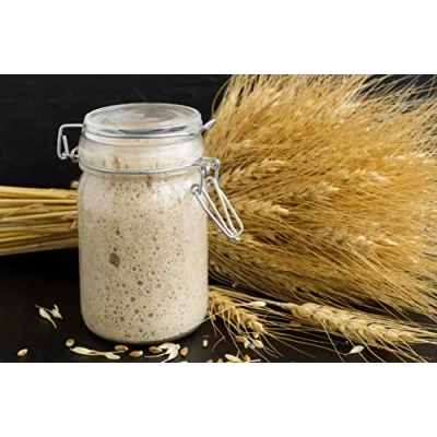 Abbildung von Zertifizierter Bio Sauerteig Brotstarter aus San Francisco, UKAS Labor getestet von Kombuchaorganic® mit gedruckter Anleitung (evtl. nicht in deutscher Sprache)