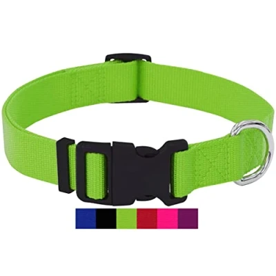Abbildung von DEY Premium Hundehalsband Nylon Verstellbar für Kleine u. Große Hunde viele Farben Größen Hund Katze Welpe Halsbänder Katzen Halsband Welpen Grün, XS