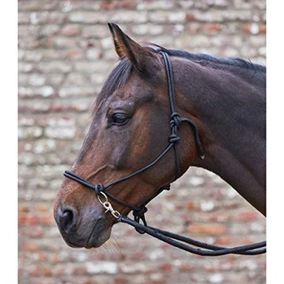 Abbildung von Waldhausen Knotenhalfter mit Zügeln Schwarz Warmblut
