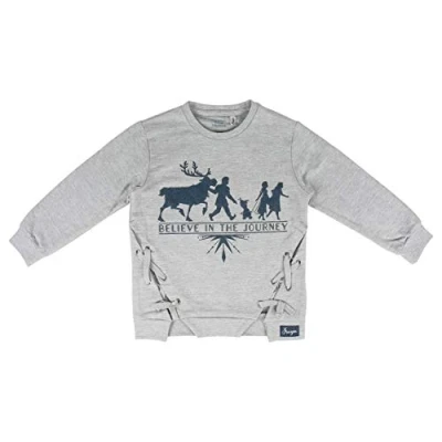 Abbildung von ARTESANIA CERDA Baby Boys Sudadera Frozen 2 Sweatshirt, Grau (Grau C13), 4 Jahre