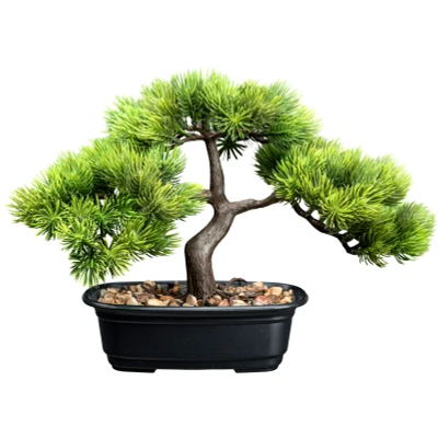 Abbildung von Kunstbonsai Bonsai Kiefer Kiefer, Creativ green, Höhe 23 cm, mit Deko Kies