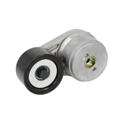 Abbildung von DAYCO APV2820 Riemenspanner