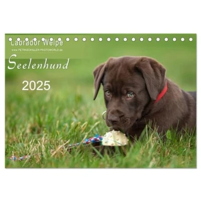 Abbildung von Labrador Welpe Seelenhund (Tischkalender 2025 DIN A5 quer), CALVENDO Monatskalender