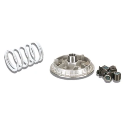 Abbildung von Variator MALOSSI Multivar 2000, für APRILIA 500 At