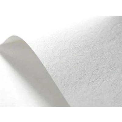 Abbildung von Netuno 20x Struktur Karton Weiß ledergenarbt DIN A4 21 x 29,7 cm 246g Elfenbeinkarton zum Bedrucken Bastel strukturiert für Visitenkarten Einladungs Karten Zertifikate