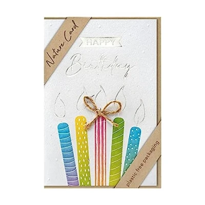 Abbildung von bsb Karte zum Geburtstag Nature Card Nachhaltige Karten Geburtstagskarten mit Umschlag Geburtstagskarte Frauen &amp; Männer Glückwunschkarte 11,5 x 17 cm