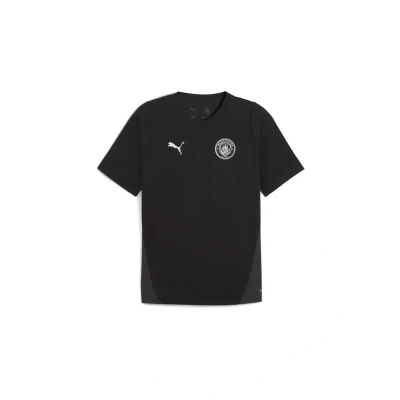 Abbildung von PUMA MCFC Trainingstrikot