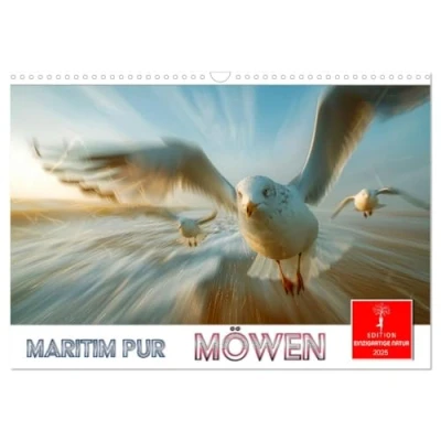 Abbildung von Maritim pur Möwen (Wandkalender 2025 DIN A3 quer), CALVENDO Monatskalender