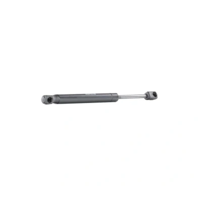 Abbildung von RIDEX 219G0156 Heckklappendämpfer 495 287 beidseitig MAZDA: 6 Limousine, Hatchback