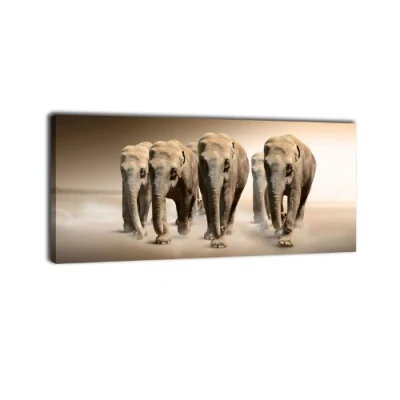 Abbildung von wandmotiv24 Leinwandbild Panorama Nr. 189 Elefantengruppe 100x40cm, Keilrahmenbild, Bild auf Leinwand, Elefanten Afrika Steppe