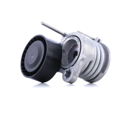 Abbildung von SNR GA350.65 Spannrolle BMW: 3 Limousine, Touring, 1 Schrägheck