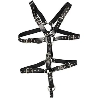 Abbildung von Harness aus Leder